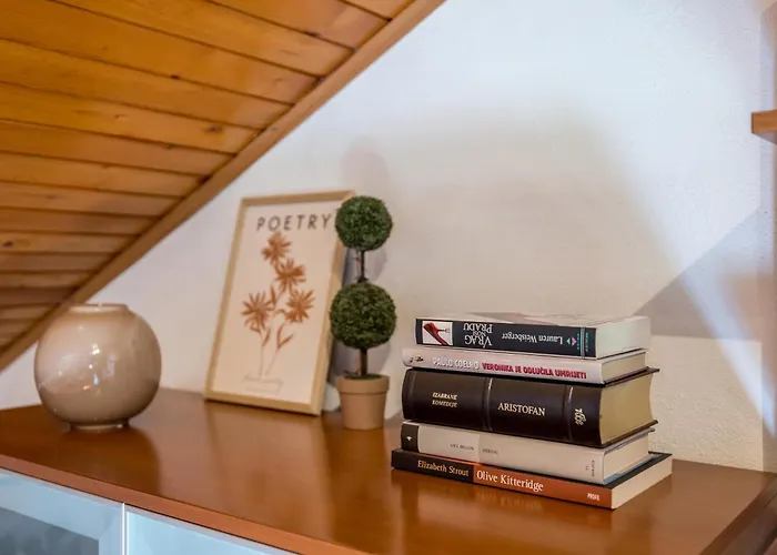 Amorina * 스플리트